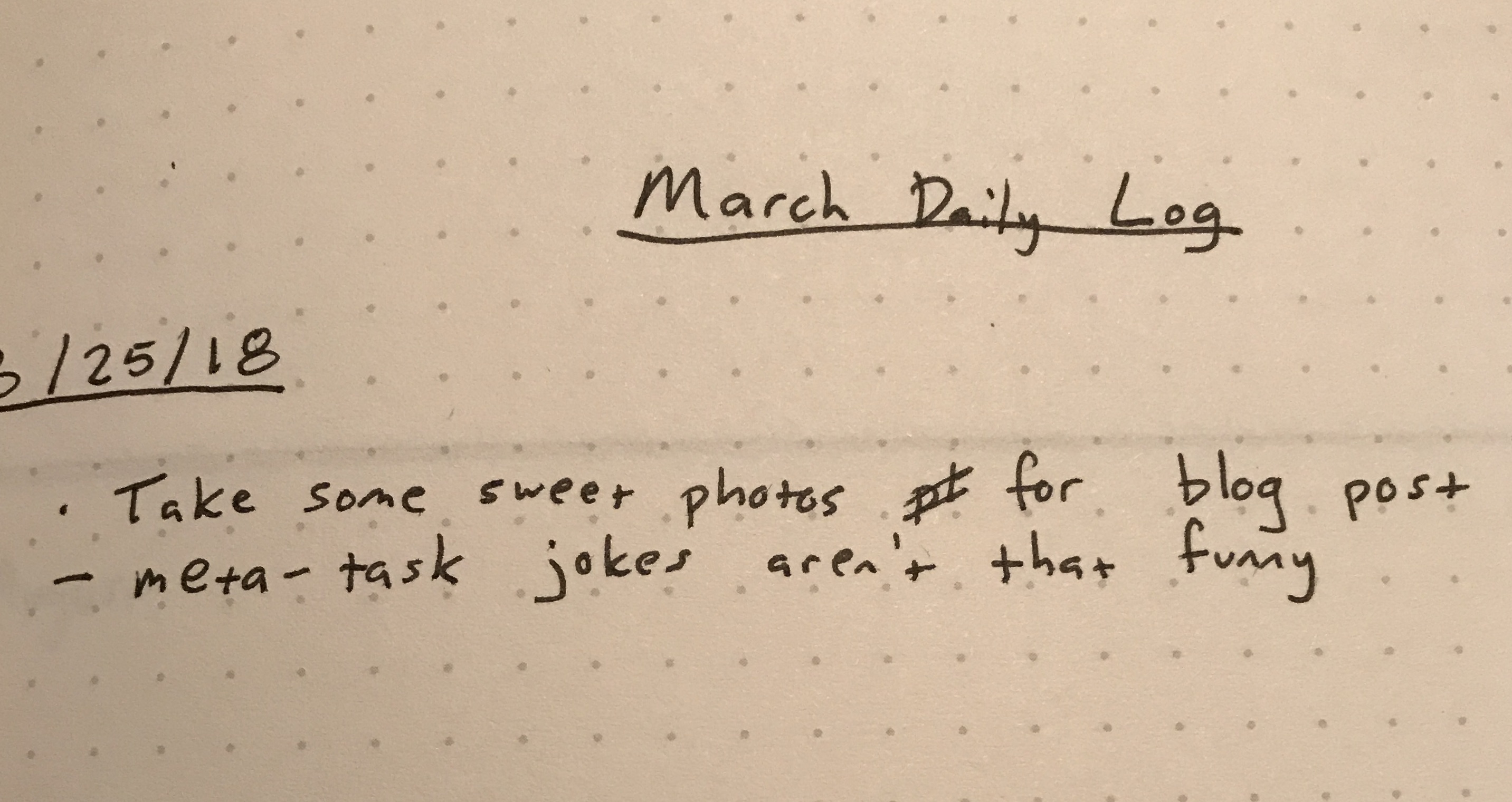 Filled-in Daily Log